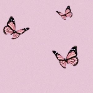 Meet your Posher, Gabriela